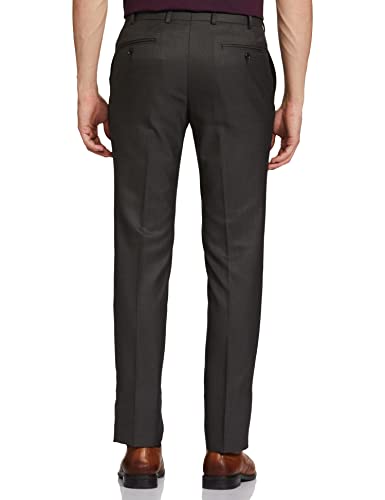 Image of Raymond Men Pants