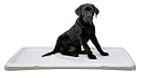 Kerbl Pet Welpentoilette XL, 90x60x4cm, Creme, für Welpen, ältere oder Kranke Hunde, Unterlage separat erhältlich, Kunststoff, Made in Italy