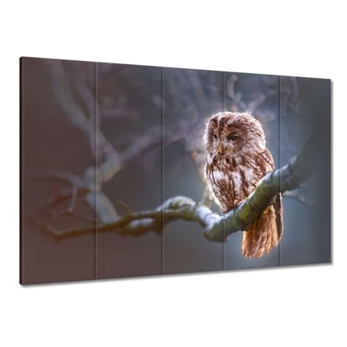 Toile imprimée hibou sur une branche pour une ambiance chaleureuse