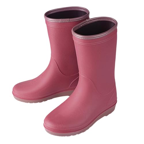 [CTN] JC CV[Y fB[X Cu[c ~hu[c ₷ ނ ʋΒʊw fUC08 Ⴉp C 25.0 cm 傫TCY  y AEghA p