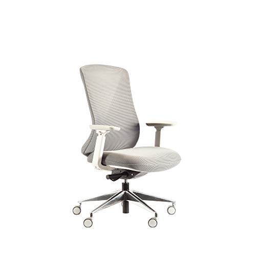 Image of Sunon Mesh Back Rest Chair with Adjustble Arms (Butterfly - Medium)