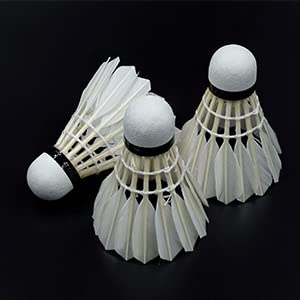 Spphoneix 12-Pack Goose Feather Badminton Shuttlecocks With High Durability Badminton Birdies Balls Model 901 #TOP7