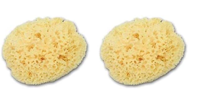 2 esponjas grandes de seda griega suave natural sin cortar para adultos de 14 a 6 pulgadas