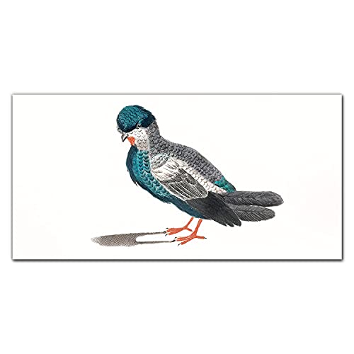 Photo sur verre acrylique Oiseau 100x50cm pour sublimer l'ambiance de votre salon