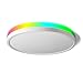 Produktbild TALOYA Smart Deckenleuchte LED Unterputz WiFi, kompatibel mit Alexa, dimmbare 12 Zoll 24W Low Profile LED Oberflächenleuchte für Schlafzimmer Wohnzimmer, einfache Installation (30cm)