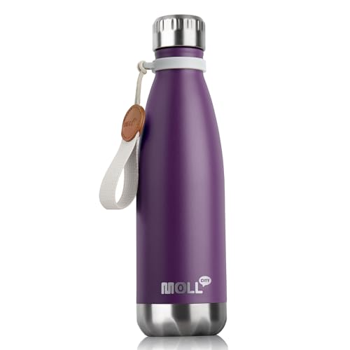 Image of 17 oz Stainless Steel Vacuum Insulated Sports Water Bottle No Straw