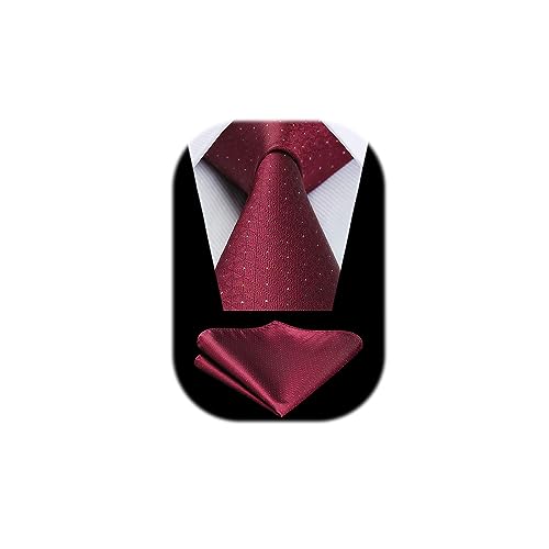HISDERN Polka Dot Borgoña Corbatas para hombres Corbata de boda Pañuelo Corbata formal de negocios y juego de pañuelos de bolsillo