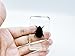 Assorted Styles of Beetle and Insect Specimens, Clear Amber Resin Material Ideal for Kids' Science Education, Collecting, and Home Decoration 2.4″*1.4″*0.7″ (No.31)