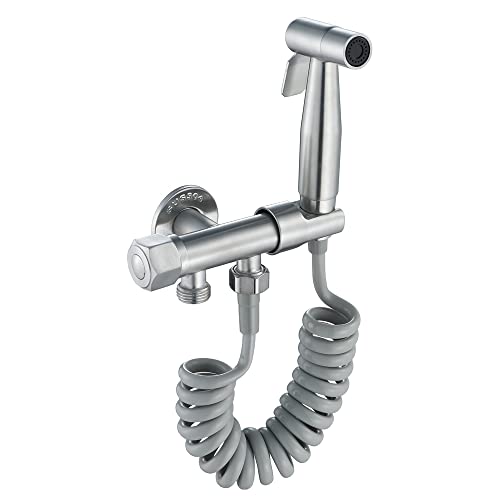 Kit pulvérisateur de toilettes à main avec robinet en acier