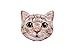 Produktbild Intex 58784EU - Aufblasbare Luftmatratze Katze, Vinyl
