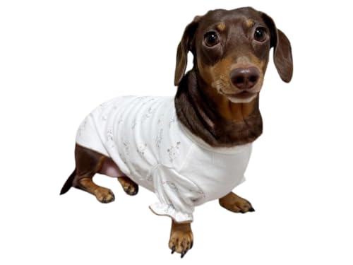 D DOGGY STAR ダックスフンド 服 パジャマ Tシャツ 小型犬 中型犬 春 夏 秋 冬 ダックス おしゃれ 犬 洋服 ドッギースター (オーガニック, L)