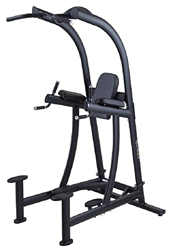 SportsArt A994 Free Weight Performance Strength VKR Chin Dip Station