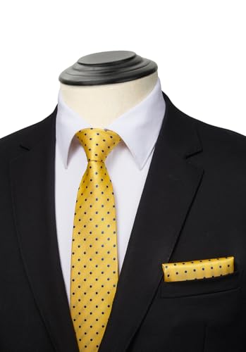 Image of HISDERN Mens Ties and Pocket Square Set Business Elegant Ties for Men Classic Lot 3 Pcs Wedding Party Neckties & Handkerchief