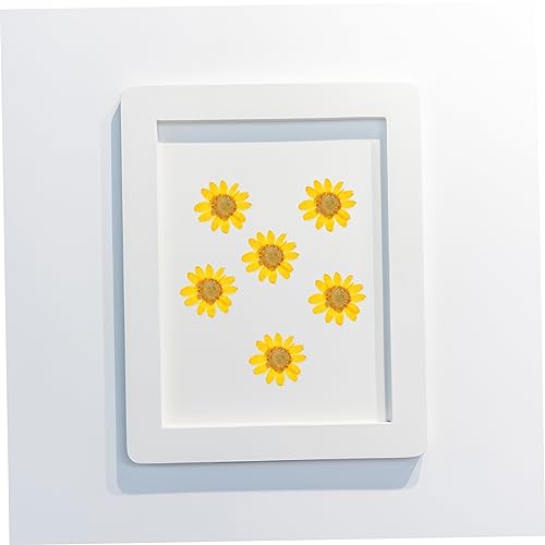 Flores Margaritas Secas para Artesanías Resina 24 piezas miniatura 5