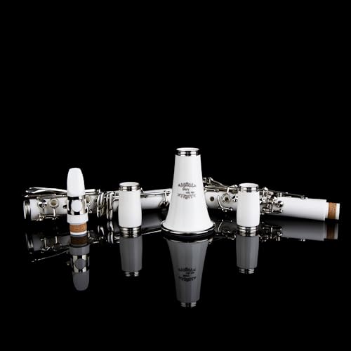 Image of Glory GLYCLAWH Professional Ebonite Bb Clarinet with 10 Reeds, Stand, Hard Case, Cleaning Cloth, Mouthpiece Brush and Pad Brush,White /Silver