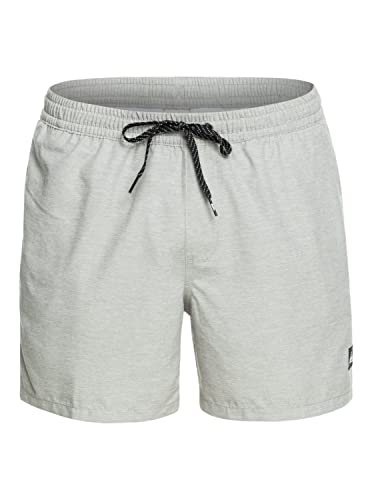 Quiksilver Everyday Deluxe 15' - Schwimmshorts für Männer Grau