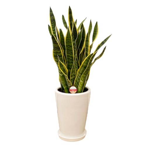 _ ϗtA TXxA TZxA { 8 픫  Y_ t CeA A JXj zj Mtg ̓ ̓ hV̓ v[g 蕨  Ε  Əj w wj ItBX