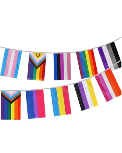 UZEXYO 30 Pack Pride Flags Bunting 10M/32.8FT Fabric Rainbow Pride Flag String with Progressive Pride Trans Lesbian Bisexual Pansexual Asexual Gay Flags for Parade Party Garden Indoor Outdoor Decor