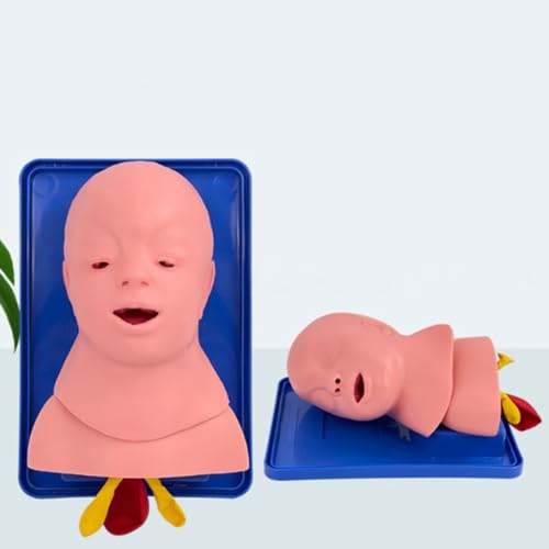 Modèle d'entraînement à l'intubation de bébé pour ateliers de simulation médicale - 4