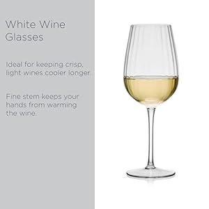 Mikasa Optic Set of 4 White Wine Glasses, 15 Ounce Mikasa Optic Set of 4 White Wine Glasses 15 Ounce