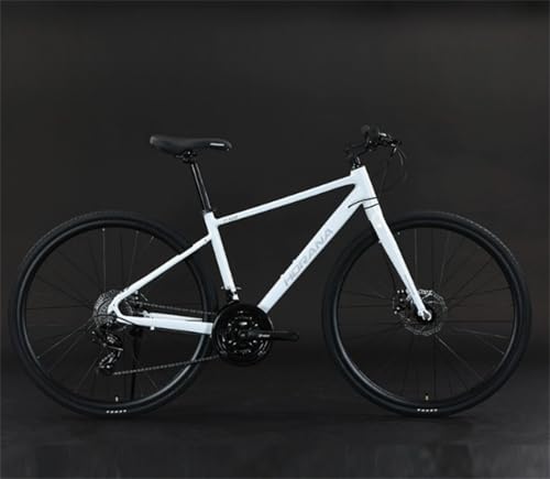 yXXAz}EeoCN MTB It[h ]700C/24iϑ }OlVEt[fBXNJjJu[L bN\ȃTXyVtH[N g 155-185cmΉ z S҃ptH[}X僂f (700C24,z