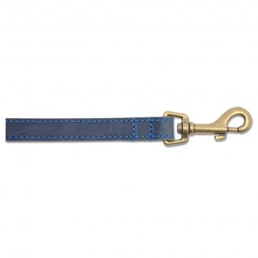 Ancol Timberwolf Lead, Small, 40-Inch, Blue