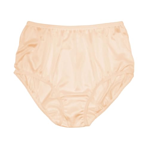Image of Teri Women's 331 Plain Jane Classic Nylon Silky-Smooth Lightweight Breathable Full Coverage Brief Panty - 4 Pack