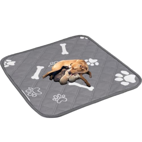 heatcozy 洗えるペットシーツ おしっこパッド 繰り返し使える ペットマット 介護シーツ 小型〜大型犬 猫 小動物用 四重構造 超吸収 速乾 漏れ防止 滑り止め 洗濯機で丸洗い 四季通用 (182x182CM 1枚セット)