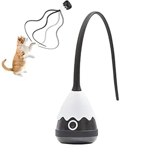 Cat Toys for Indoor Cats, Electronic Interactive Cat Toys, Automatic Silicone Tail Teaser Toy 2 in 1 Cat Wand Toy, Rechargeable Exercise Toy for Kitten-Black