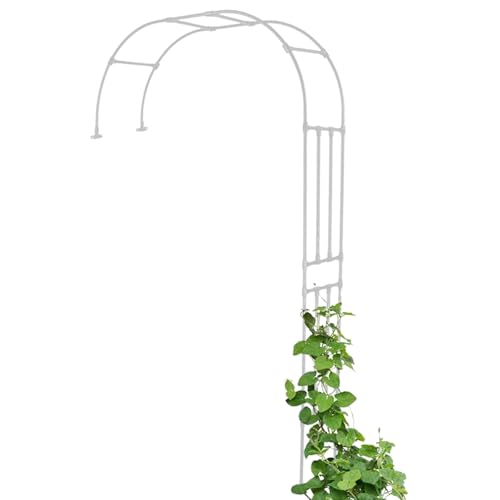 Arco de jardín de pared para aprovechar zonas estrechas y cultivar rosales trepadores 2