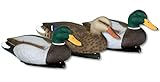 Flambeau Outdoors 5900MSU Masters Series Mallard Decoys, 26