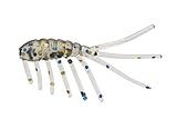 Eurotackle Micro Finesse Gama Scud 1' Freshwater Shrimp Ice Fishing Soft Lure (Bluegill Pro)