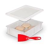 DELICRET - Teigballenbox mit Deckel & Teigspachtel | Teigbox für Teiglinge| Teigbox Außenmaße: 40x30x10 passt in jeden Haushaltskühlschrank | Pizza Spachtel & Pizza Box| Teigbox | Pizzateig Box