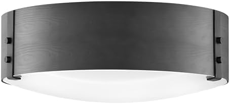 Hinkley Sawyer Medium Flush Mount, Black