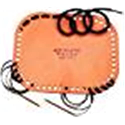 Allen Large Cognitive Level Screen