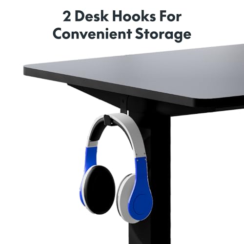 FLEXISPOT One-Piece Electric Standing Desk, 48 x 24 Inches Adjustable Desk with Seamless Desktop, Memory Controller Height Adjustment (Black Frame + Black Desktop, 2 Packages)