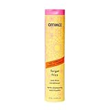 amika forget frizz anti-frizz conditioner, 275ml | smoothing, humidity protection, up to 72 hour frizz control + lightweight hydration, for medium to thick coarse hair types 2a-4c