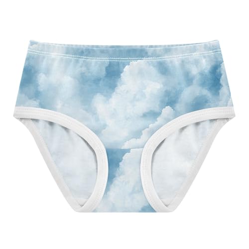 Cotton Toddler Girls Underwear Cloud Sky Soft Blue White Cute Panties Girl Animal Briefs Kids Undies 2t