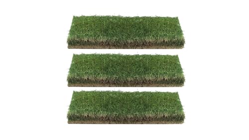 Emerald Zoysia (3 Pieces)