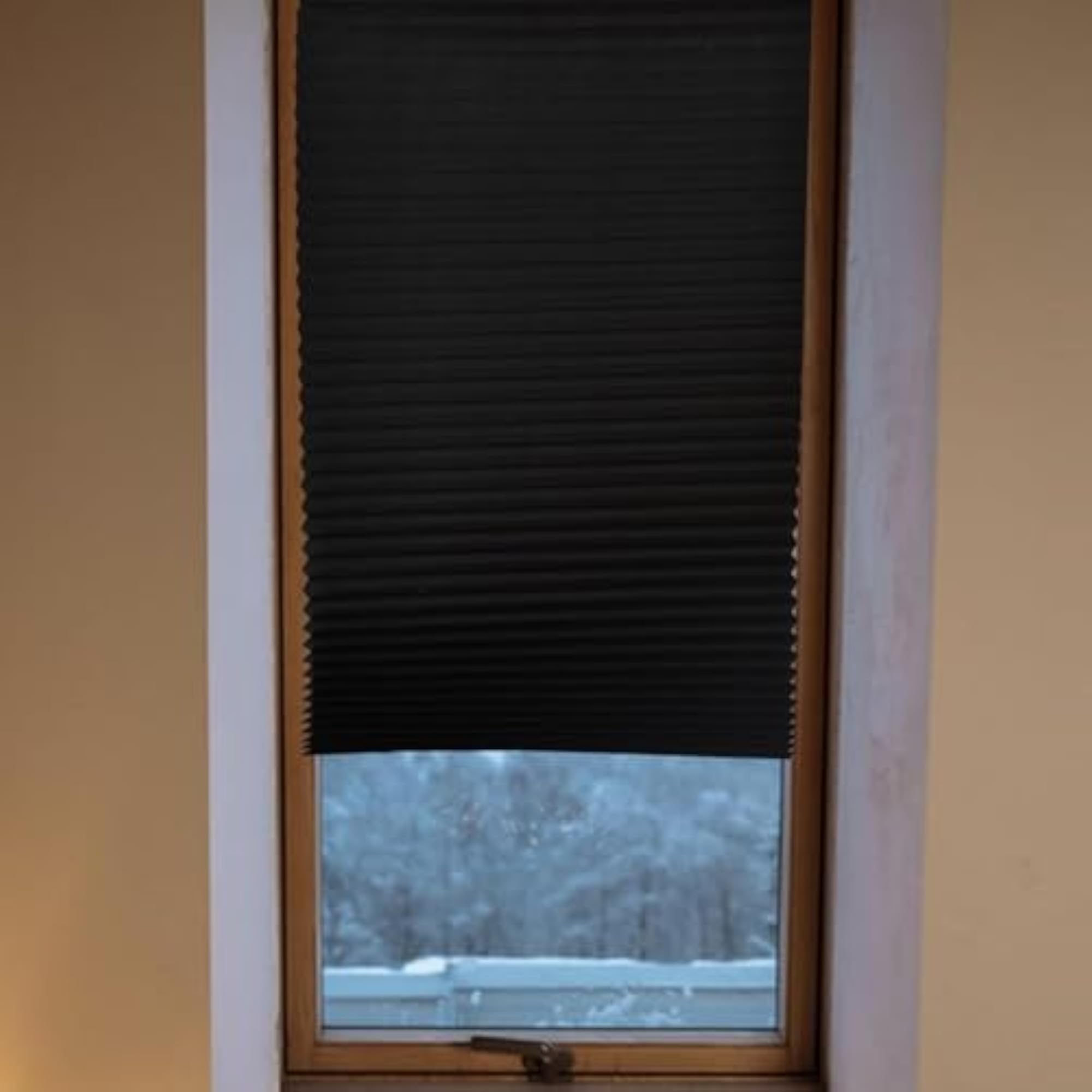Temporary Window Pleated Shades for Room Darkening
