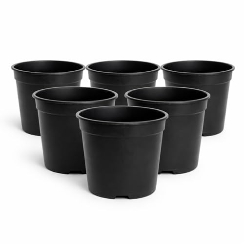 Image of 5 Inch Heavy Duty Plastic Planter | Grower Pot /Garden Pot for Home & Garden (Black) (Pack of 6)