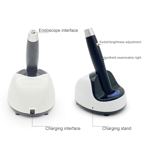 Lampe d inspection LED rechargeable portable pour eclairage local endoscopique - 2