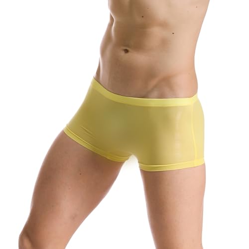 Men's Ice Silk Mesh Boxer Briefs, Sheer See Through, Low Waist, Seamless2