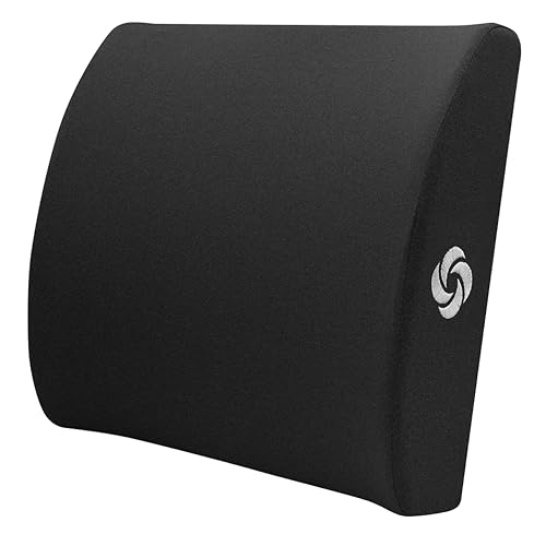 Samsonite Lumbar Pillow for Office and Car Seats