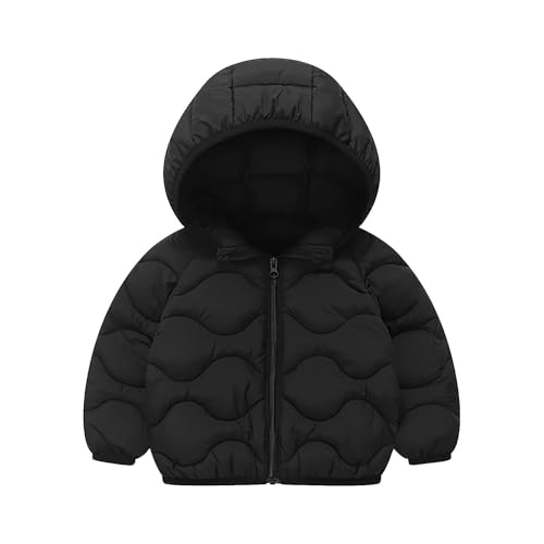 Toddler Hooded Puffer Jacket Girls Boys Zip Up Cute Quilted Long Sleeve Padded Down Winter Coat for 2-8 Years