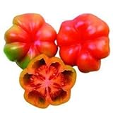 tomate montserrat macizo 💯💯💯 100 % Natural y ecológico, para autoabastecerse en estos momentos difíciles, dale un cambio a tu calidad de vida. Come productos naturales y saludables.