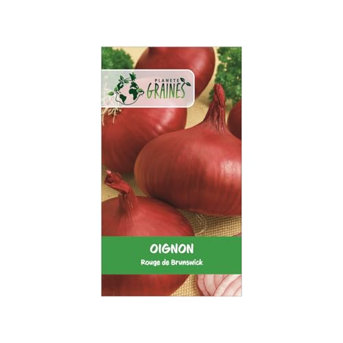 PLANETE GRAINES - 500 Graines d'Oignon Rouge 'Brunswick Rustique & de Conservation - Gros Bulbes Savoureux - Idéal Potager