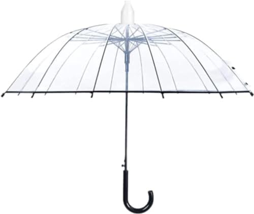 Farigrut Jo[t P P P WvP rj[ 16{ JP 傫TCY OXt@Co[  ~J΍ v ϕ  y ^b` jp XebLP amP ʋ ʊw St AEghA (ubN)