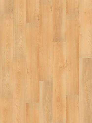 Preisvergleich Produktbild Wineo 1000 Purline Bioboden Click Summer Beech Wood Planken mit Klicksystem