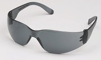 PAL-3601G Pro-Vision Econo Wrap Eyewear, Gray Lens